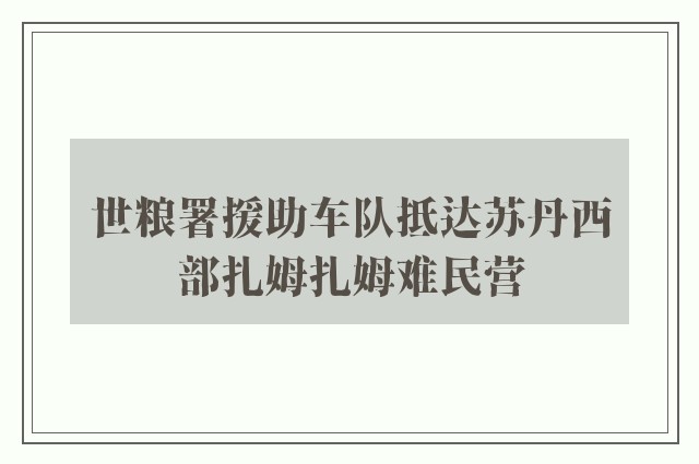 世粮署援助车队抵达苏丹西部扎姆扎姆难民营