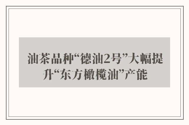 油茶品种“德油2号”大幅提升“东方橄榄油”产能