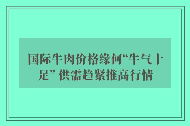 国际牛肉价格缘何“牛气十足” 供需趋紧推高行情