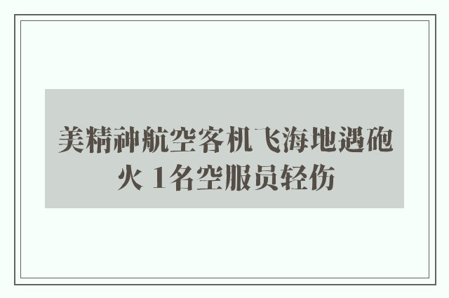 美精神航空客机飞海地遇砲火 1名空服员轻伤