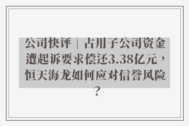 公司快评︱占用子公司资金遭起诉要求偿还3.38亿元，恒天海龙如何应对信誉风险？