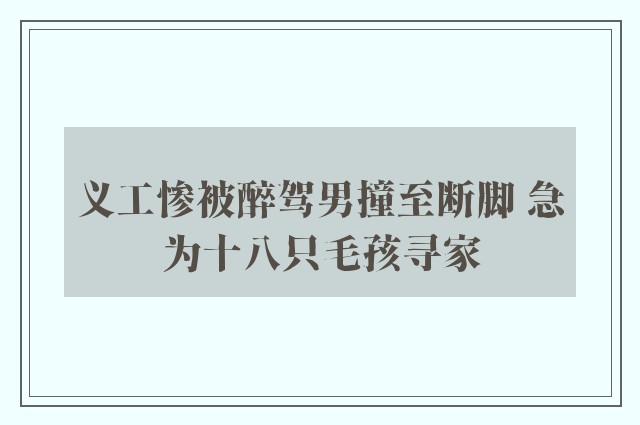 义工惨被醉驾男撞至断脚 急为十八只毛孩寻家