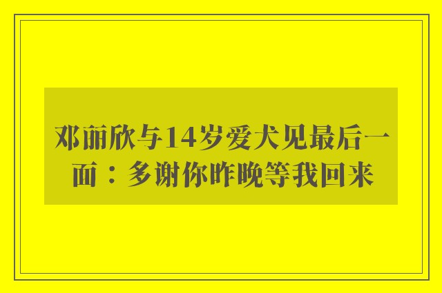 邓丽欣与14岁爱犬见最后一面：多谢你昨晚等我回来