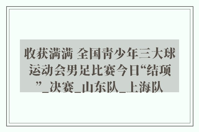 收获满满 全国青少年三大球运动会男足比赛今日“结项”_决赛_山东队_上海队