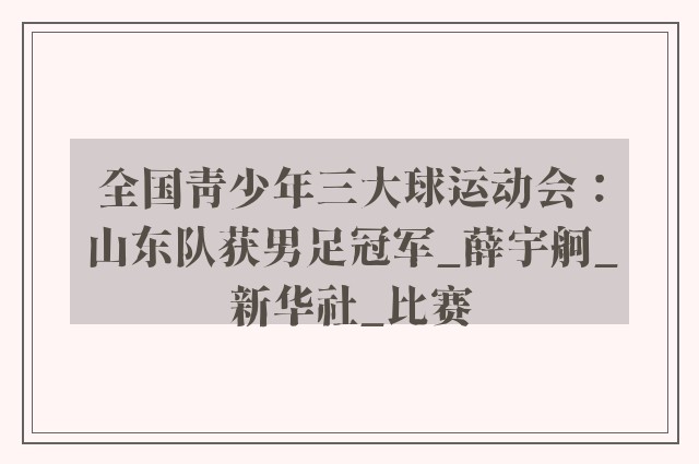 全国青少年三大球运动会：山东队获男足冠军_薛宇舸_新华社_比赛