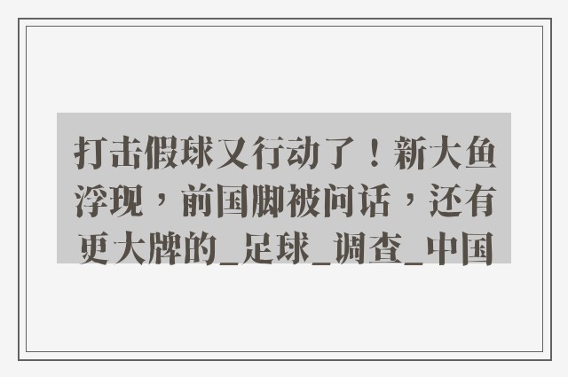 打击假球又行动了！新大鱼浮现，前国脚被问话，还有更大牌的_足球_调查_中国