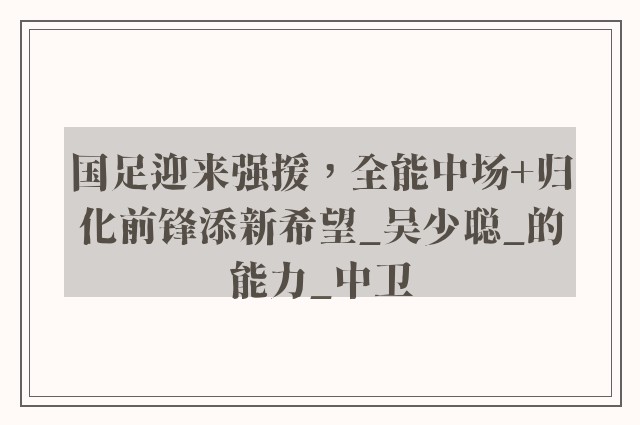 国足迎来强援，全能中场+归化前锋添新希望_吴少聪_的能力_中卫