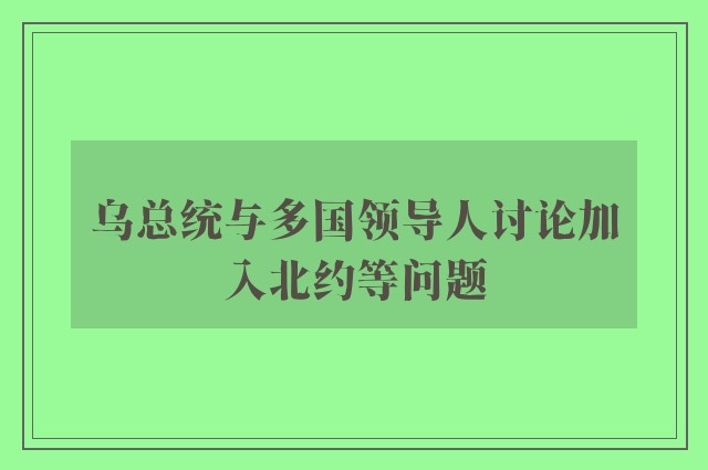 乌总统与多国领导人讨论加入北约等问题