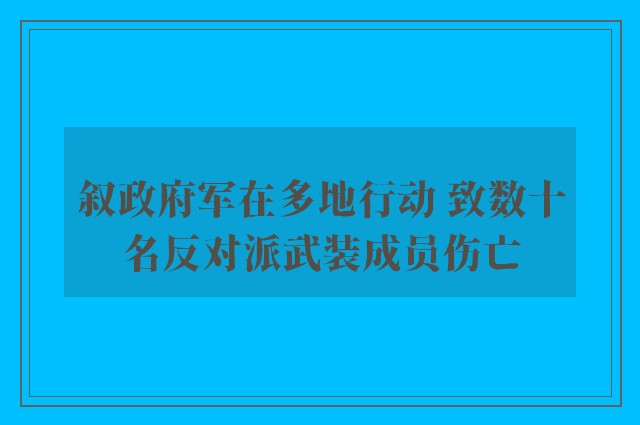 叙政府军在多地行动 致数十名反对派武装成员伤亡