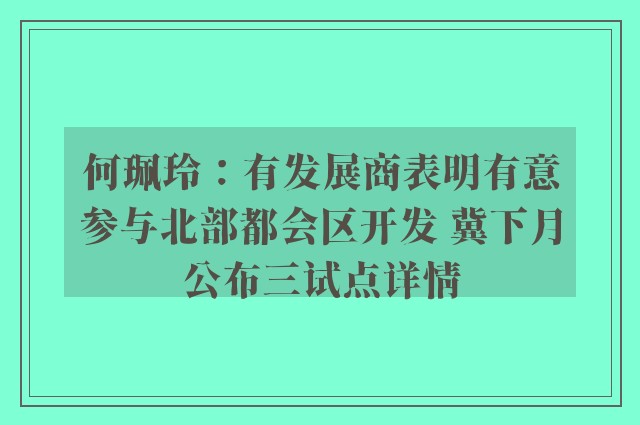 何珮玲：有发展商表明有意参与北部都会区开发 冀下月公布三试点详情