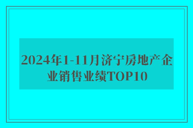 2024年1-11月济宁房地产企业销售业绩TOP10