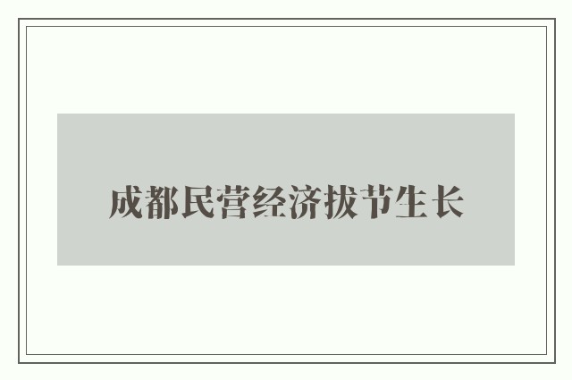 成都民营经济拔节生长