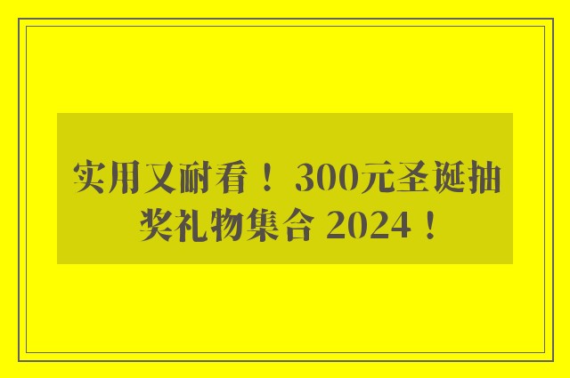 实用又耐看！ 300元圣诞抽奖礼物集合 2024！