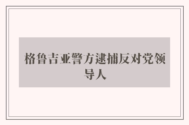 格鲁吉亚警方逮捕反对党领导人