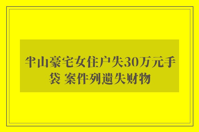 半山豪宅女住户失30万元手袋 案件列遗失财物