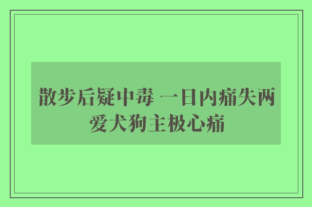 散步后疑中毒 一日内痛失两爱犬狗主极心痛