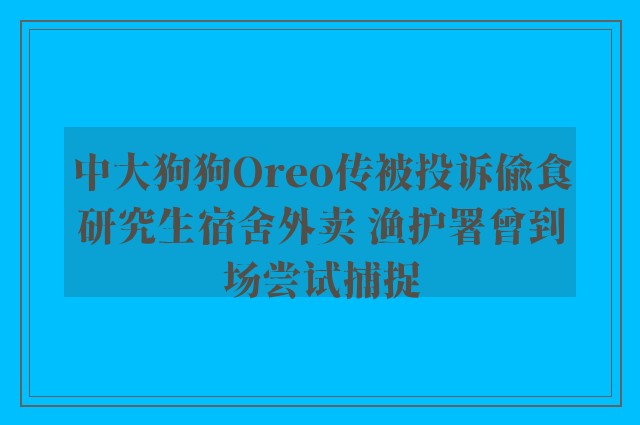 中大狗狗Oreo传被投诉偷食研究生宿舍外卖 渔护署曾到场尝试捕捉