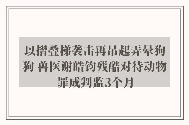 以摺叠梯袭击再吊起弄晕狗狗 兽医谢皓钧残酷对待动物罪成判监3个月