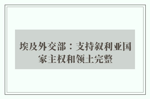 埃及外交部：支持叙利亚国家主权和领土完整