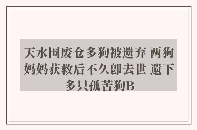 天水围废仓多狗被遗弃 两狗妈妈获救后不久即去世 遗下多只孤苦狗B