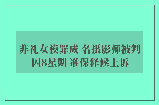 非礼女模罪成 名摄影师被判囚8星期 准保释候上诉