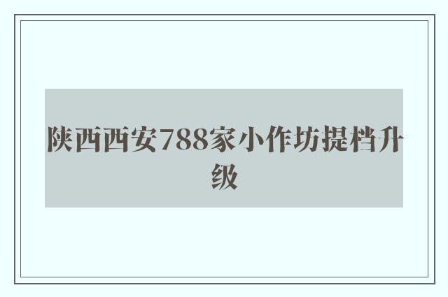 陕西西安788家小作坊提档升级