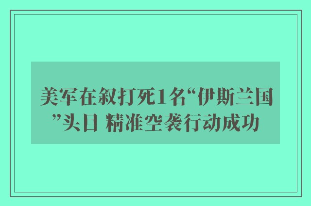 美军在叙打死1名“伊斯兰国”头目 精准空袭行动成功