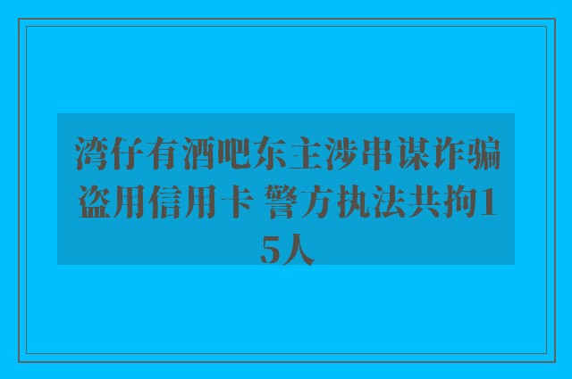 湾仔有酒吧东主涉串谋诈骗盗用信用卡 警方执法共拘15人