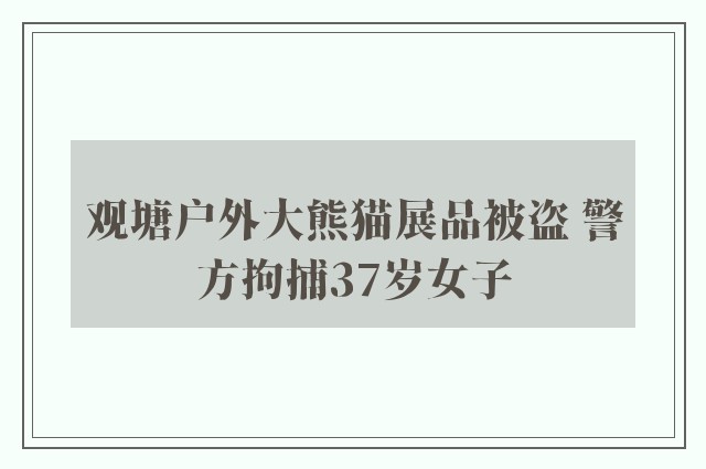 观塘户外大熊猫展品被盗 警方拘捕37岁女子