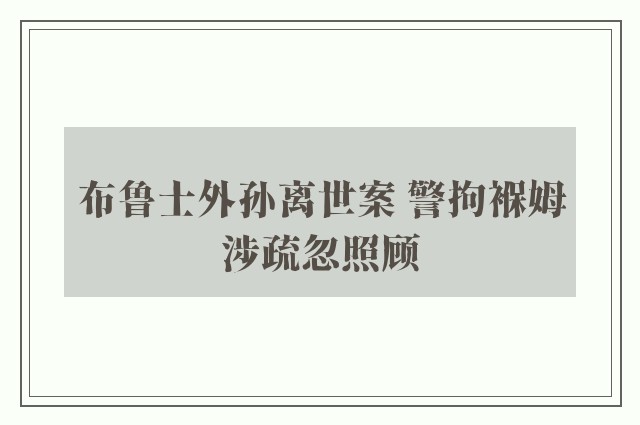 布鲁士外孙离世案 警拘褓姆涉疏忽照顾