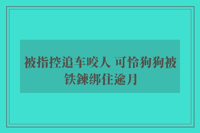 被指控追车咬人 可怜狗狗被铁鍊绑住逾月