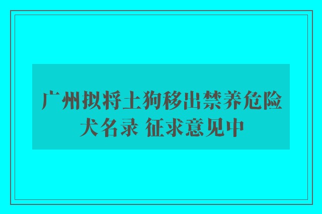 广州拟将土狗移出禁养危险犬名录 征求意见中